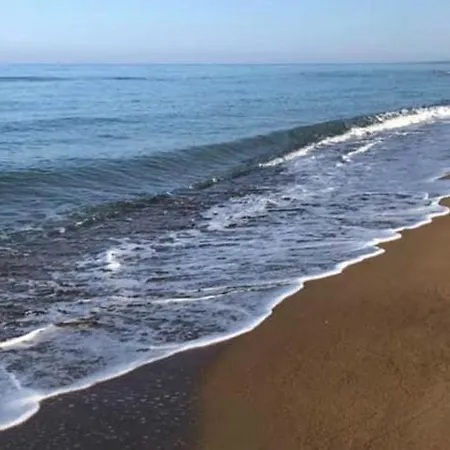 Phyllida - M3 펜션