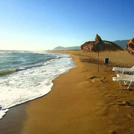 Phyllida - M3 펜션 자하로